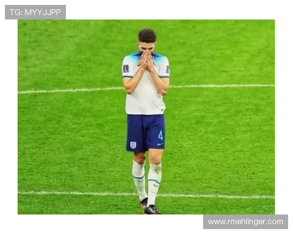 个人表现与团队成绩:赖斯的生涯评估 个人表现与团队成绩:赖斯的生涯评估