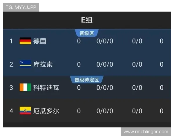 世界杯E组实力榜与出线榜 世界杯E组实力榜与出线榜